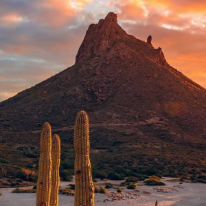 San Carlos 14 de mayo