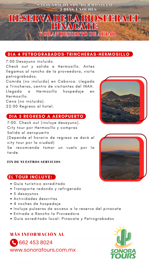 Reserva de la Biósfera El Pinacate y Gran Desierto de Altar 5 días - Image 3