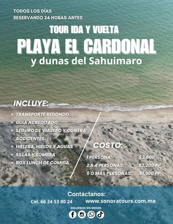 Playa El Cardonal y dunas del Sahuimaro - Image 2