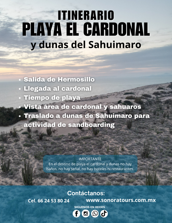 Playa El Cardonal y dunas del Sahuimaro - Image 3