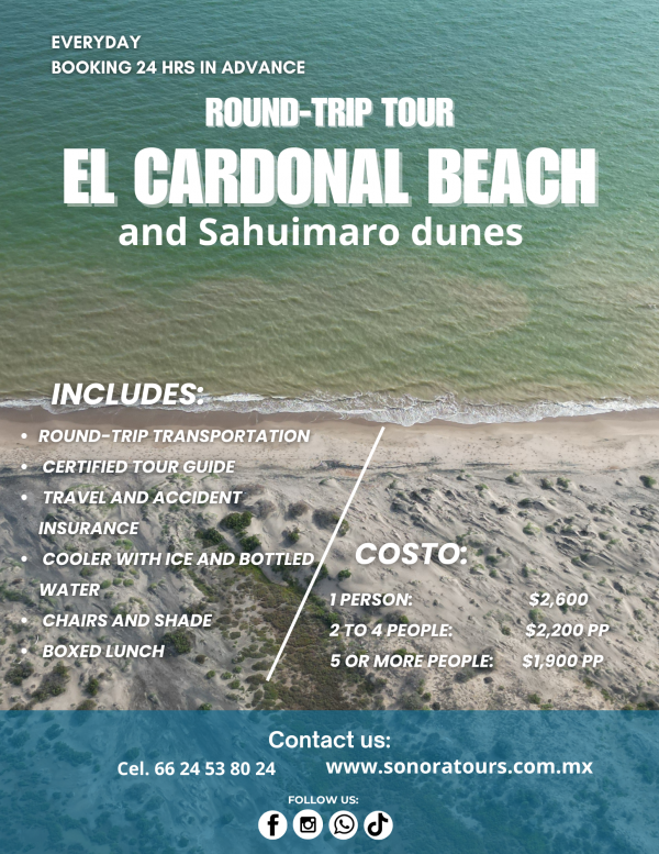 Playa El Cardonal y dunas del Sahuimaro - Image 4